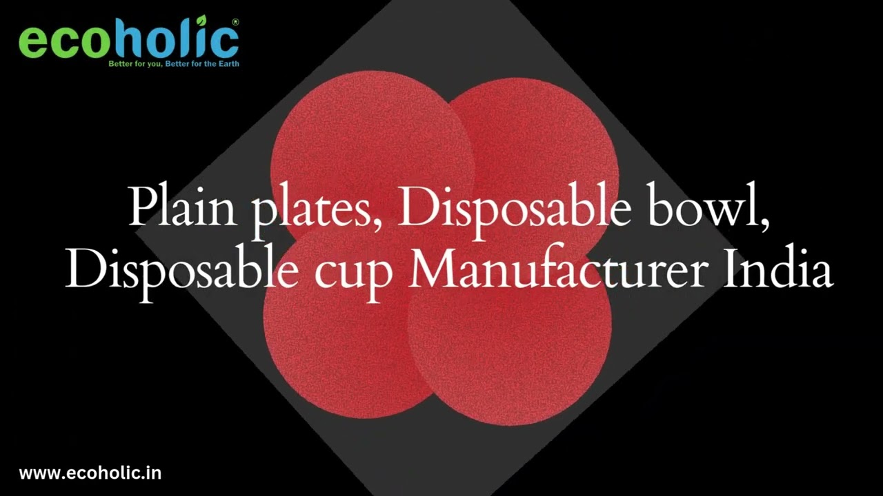 Ecoholic- Eco-friendly sugar bagasse product manufacturer in Rajkot Gujarat India.for power