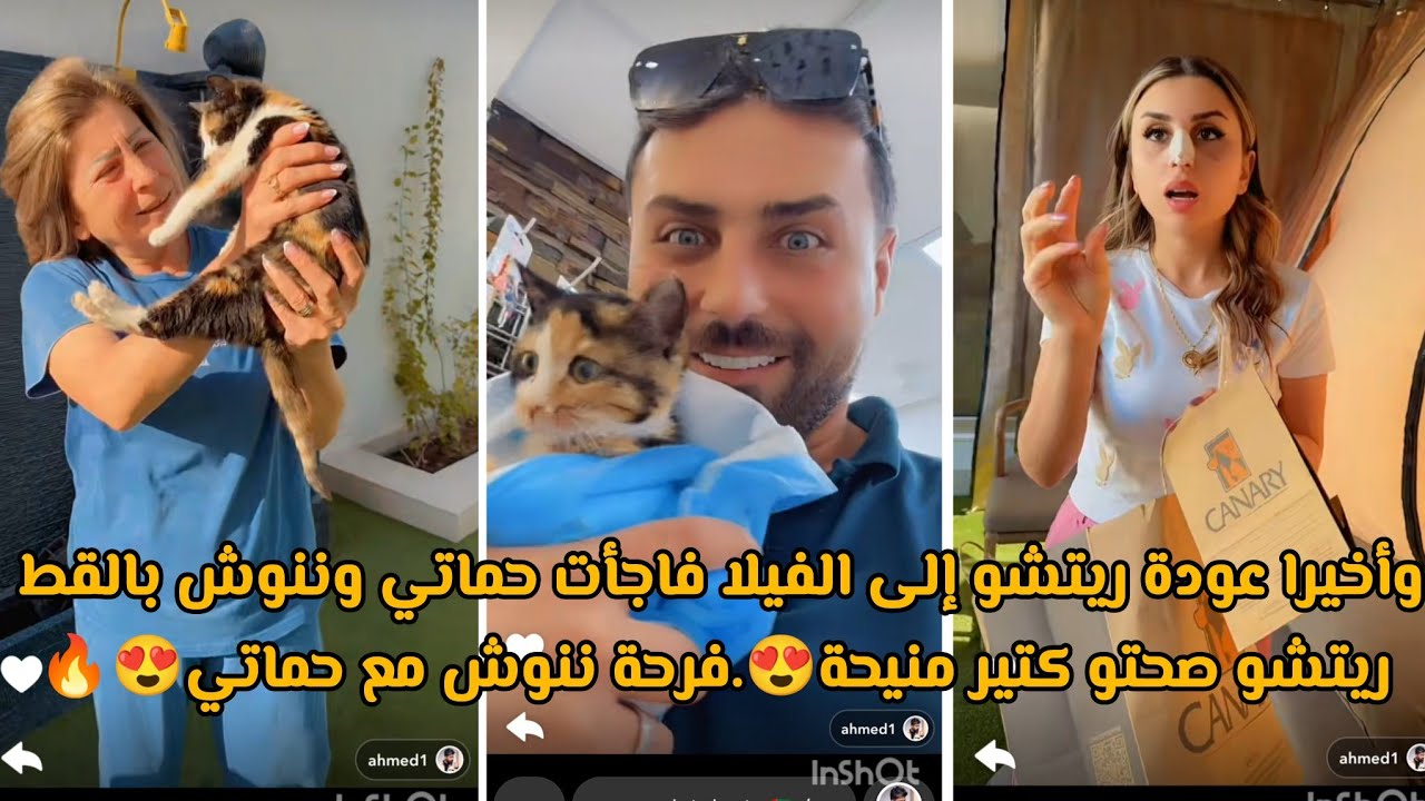 وأخيرا عودة ريتشو إلى الفيلا فاجأت حماتي وننوش بالقط ريتشو صحتو كتير منيحة😍.فرحة ننوش مع حماتي😍🔥