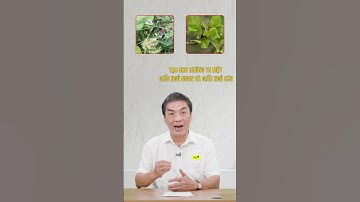 Bí quyết dưỡng tâm, an thần tạo giấc ngủ ngon, ngủ sâu giấc bằng "YHCT”