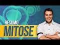 Ciclo Celular: Mitose | RESUMÃO | Prof. Paulo Jubilut