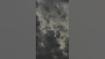 سورة الفتح آية رقم ٤ للقارئ عبدالرحمن مسعد