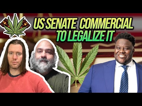 US Senate Candidate Gary Chambers Smokes Marijuana in Campaign Ad | Cannabis Legalization News