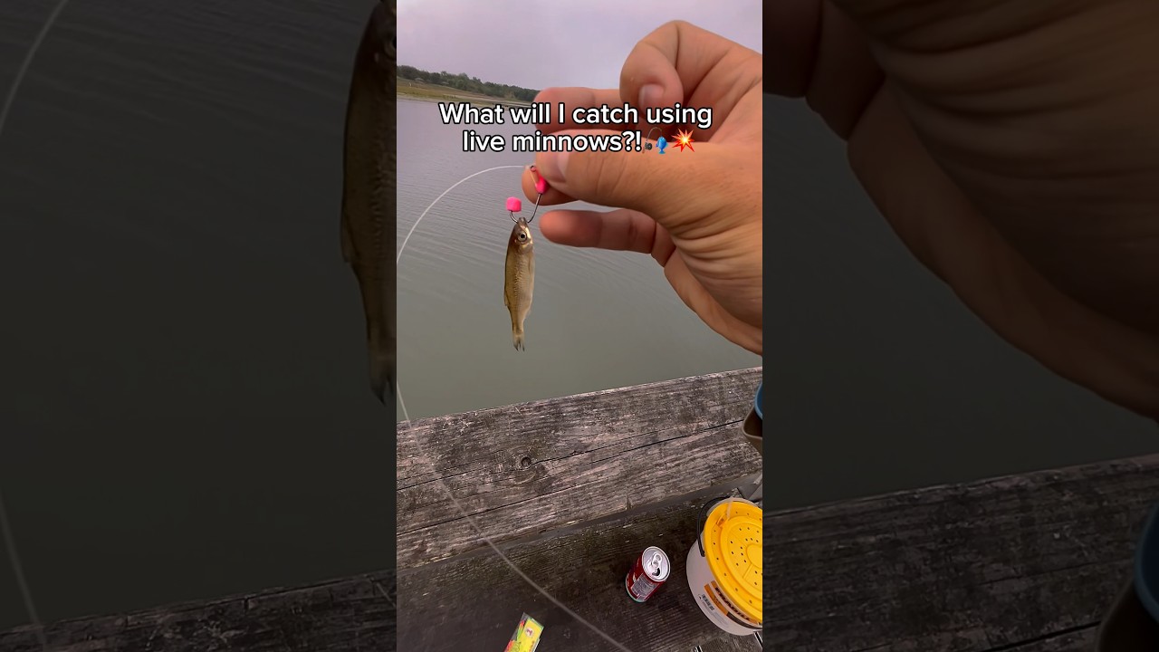 Что я поймаю на ЖИВЫХ МОРСКИХ ЛОВЛЕЙ?!🎣💥 