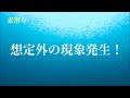 数百万匹の魚群に突入したら想定外の現象が発生！！【魚突き】オニオコゼ、キジハタなど