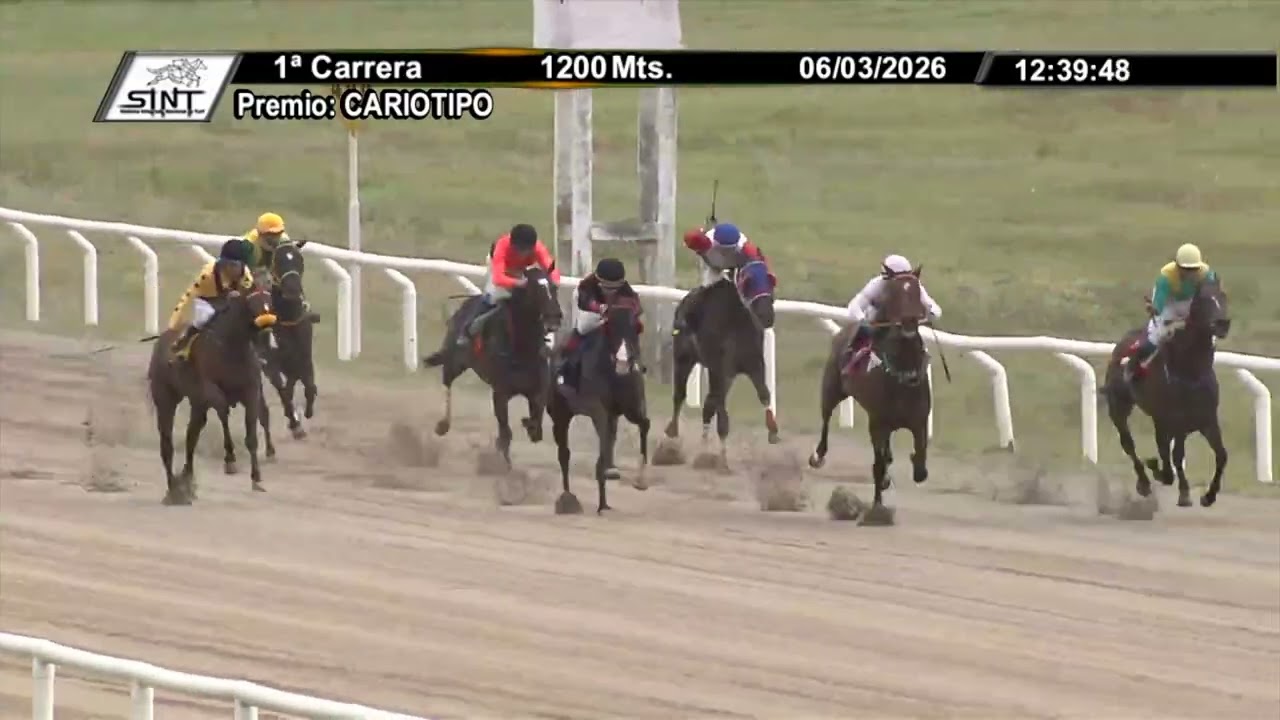 3/6/2026 – Hipodromo Colonia – Carr 1 – CARIOTIPO