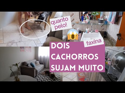 FAXINA | a sujeira de dois cachorros| minha mãe me ajudou