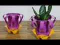 Creative Flower Pot Ideas from Discarded Plastic Bottles