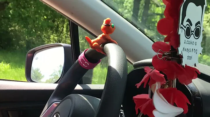Road Trip that Never Happened  - Kelly McGowan