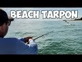 CRAZY BEACH TARPON BITE ON ARTIFICIAL LURES!