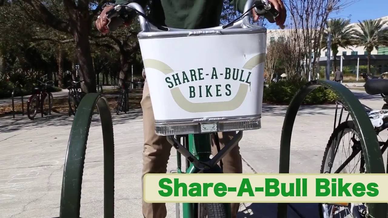 usf bike share