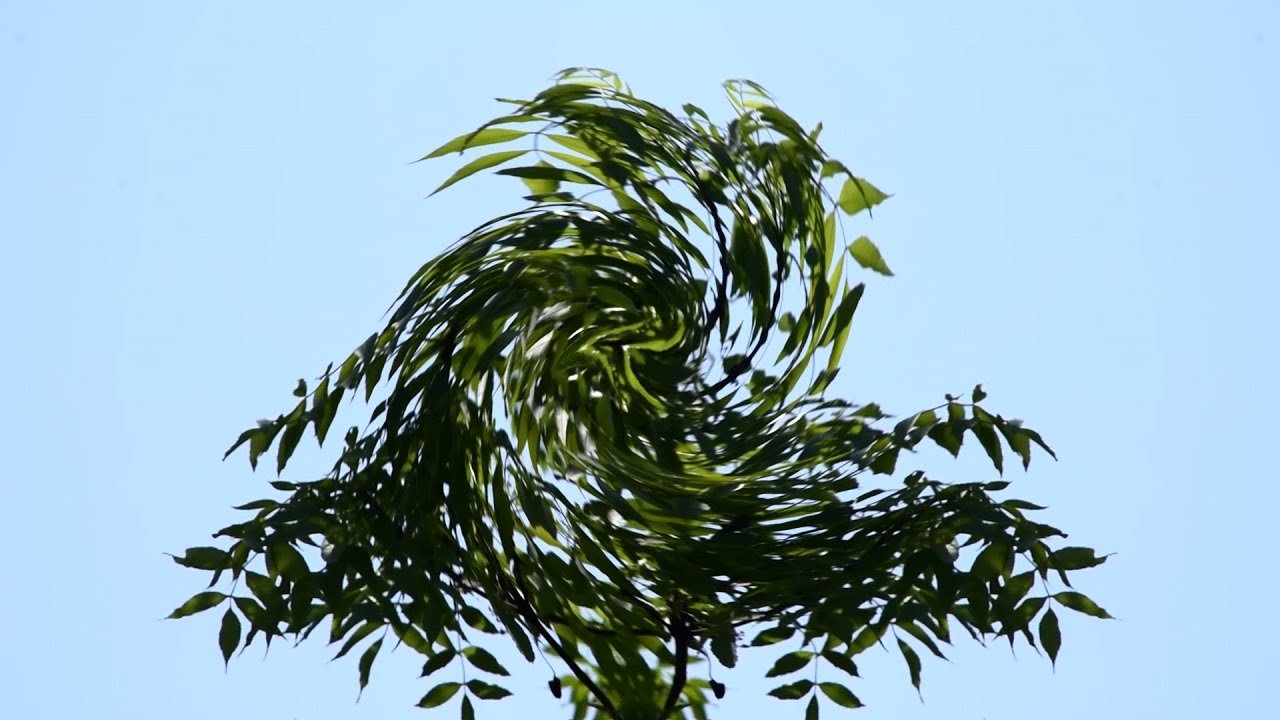 Feeling The Wind, Feeling Yourself - Wind und mehr