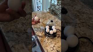 รีวิว เครื่องต้มไข่ Egg cooker
