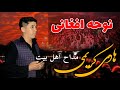 نوحه افغانی کربلای هادی کریمی مداح اهل بیت علیهم السلام باب الحوائج توئی حضرت عباس 