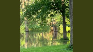 Nature Themed Frat Party