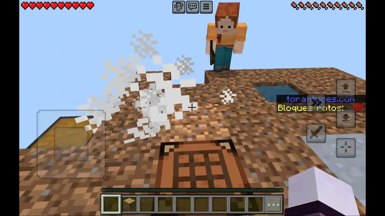 Surviving minecraft