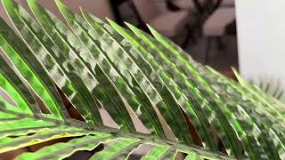     This Fake Palm Tree Looks Surprisingly Real 🌴 | Amazon Home Decor Review