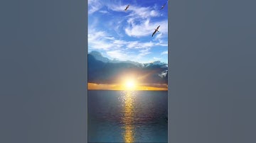 من روائع التلاوة ( قتل الانسان ما اكفره من اي شئ خلقه) #قرآن_كريم_راحة_نفسية_ارح_سمعك_وقلبك #اكسبلور