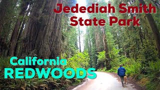 Boondocking Near Giant Redwoods and  visiting Jedediah Smith State Park