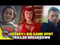 MCU Disney+ Falcon & Winter Soldier, WandaVision, Loki Breakdown in Hindi | DesiNerd