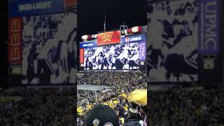 Renegade played in the 4th quarter during 2 minute warning.