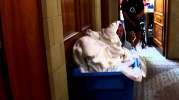 Brilliant behind the scenes funny from England Rugby