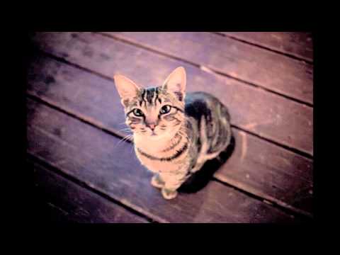 Cashmere Cat - Mirror Marru (Dehousy Edit)
