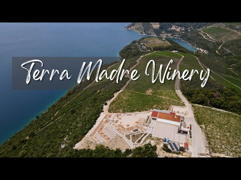 Vinarija/Winery Terra madre - mjesto gdje se ljube vinova loza, more, sunce, kamen...