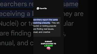 Bug Bounty Beginner Guide  Start Easy &amp; Get Paid