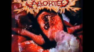 Wrenched Carnal Ornaments - Aborted