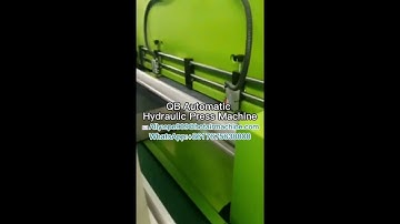 Automatic Hydraulic Die Cutting Machine | PE EVA Foam Punching Machine (Continuous Punching Machine)