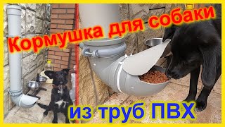 🔴Автоматическая кормушка для животных своими руками из труб ПВХ🔴Всегда есть еда! 🔴#mirnaladoni2020