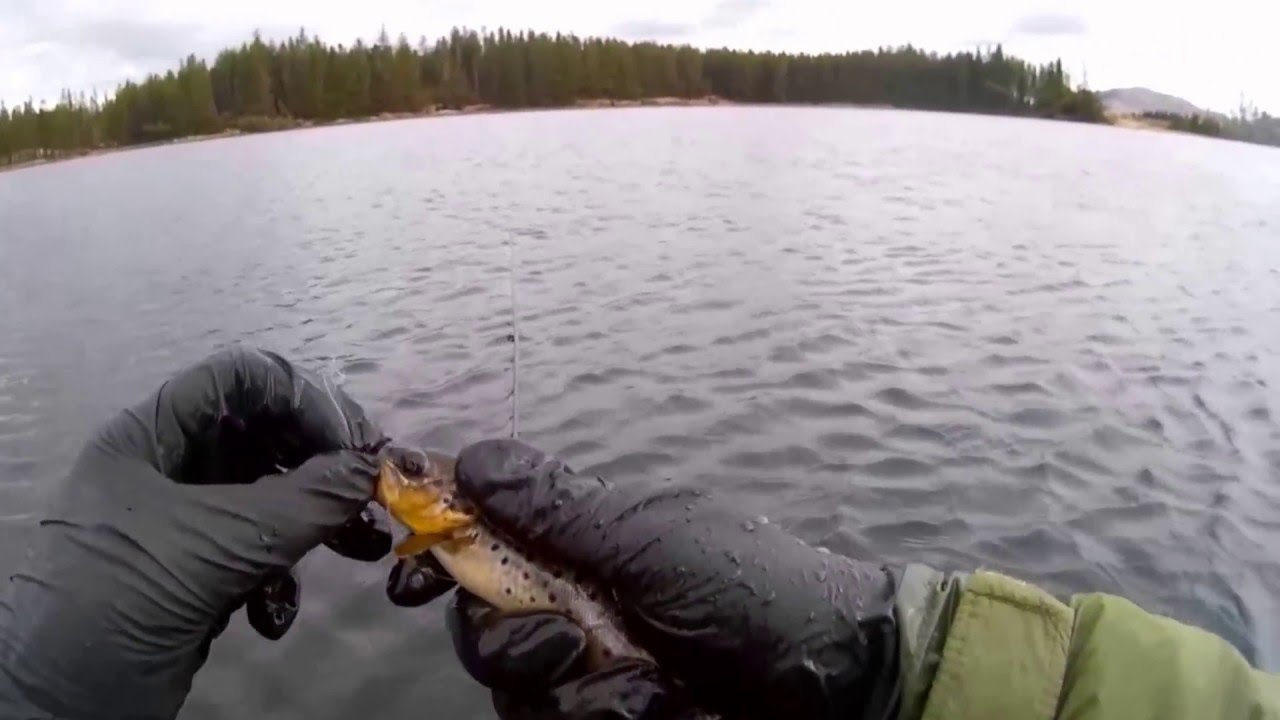 fly fishing ballochling loch for wild brown trout galloway hills 23/4/2016 - YouTube
