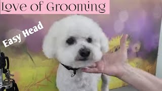 How to quickly trim a pet Bichon's Head