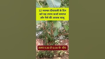 12 नवंबर दीपावली के दिन करें यह उपाय कर्ज समाप्त हो जाएगा#Pandit Pradeep Mishra ji#Shivmahapuranupay