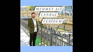 Mehmet Ali Canbaz - Karga Geçiyor Karga Resimi