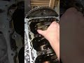 MAJOR rod knock in a Hyundai engine