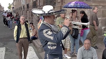 Flashmob Mariachi Morelia 2016