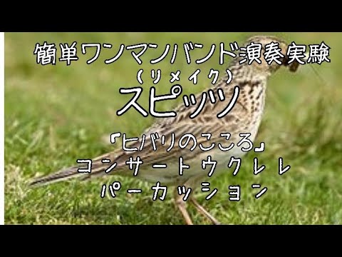 簡単ワンマンバンド演奏実験（リメイク）スピッツ「ヒバリのこころ」コンサートウクレレ、パーカッション