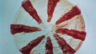 Walls Happy Endings Ice Cream Advert (Childrens Party)