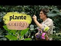 #marcelo #casa #plantas