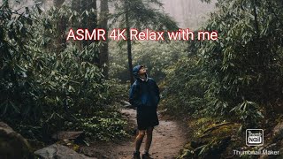 ASMR 4K  I caught a glimpse of a small kangaroo crossing the stream ahead