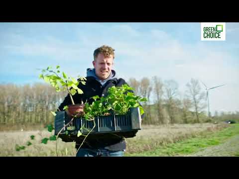 Benten en het voedselbos Deel III - Toekomst van voedselbossen