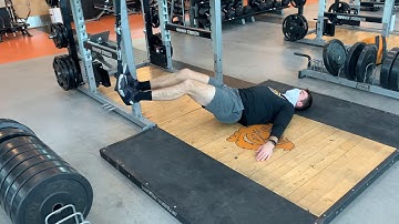 TRX ham curl + hip thrust