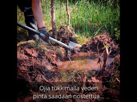 Video: Suota Hirviö Hunajasaarelta - Vaihtoehtoinen Näkymä