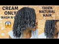 CREAM ONLY Wash N Go on THICK NATURAL HAIR | Eden BodyWorks