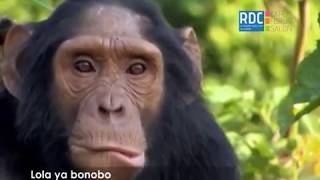RD Congo, la nouvelle destination du touristique