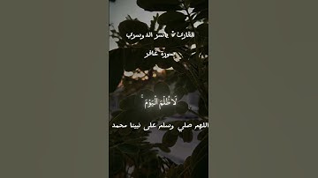 الشيخ ياسر الدوسري سورة غافر #قرآن #اكسبلور #المصحف #لايك #القزابري #دويتو #الرحمن #تيك_توك #ورك