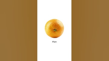 SkillsLab: Plans & Elevations #shorts