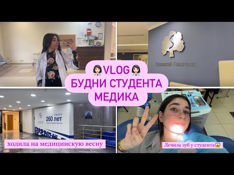 VLOG // будни