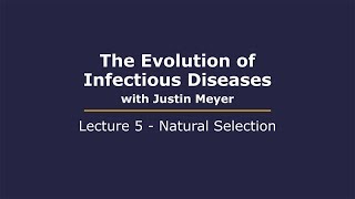 The Evolution of Infectious Diseases with Justin Meyer: Lecture 5 - Natural Selection